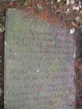 image of grave number 141511